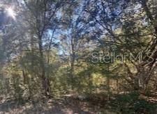 For Sale: $30,000 (0.25 acres)