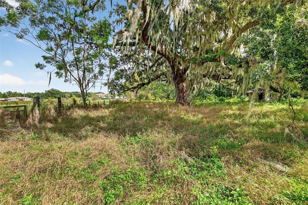 For Sale: $600,000 (10.00 acres)