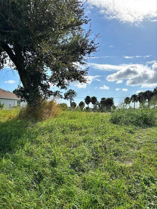 待售: $35,000 (0.20 acres)