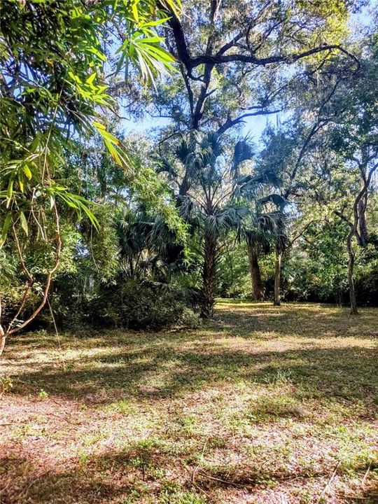 For Sale: $129,000 (4.77 acres)