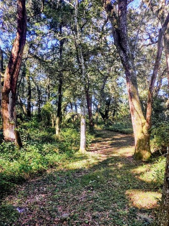 For Sale: $129,000 (4.77 acres)