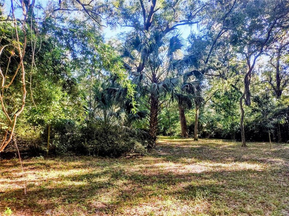 For Sale: $129,000 (4.77 acres)