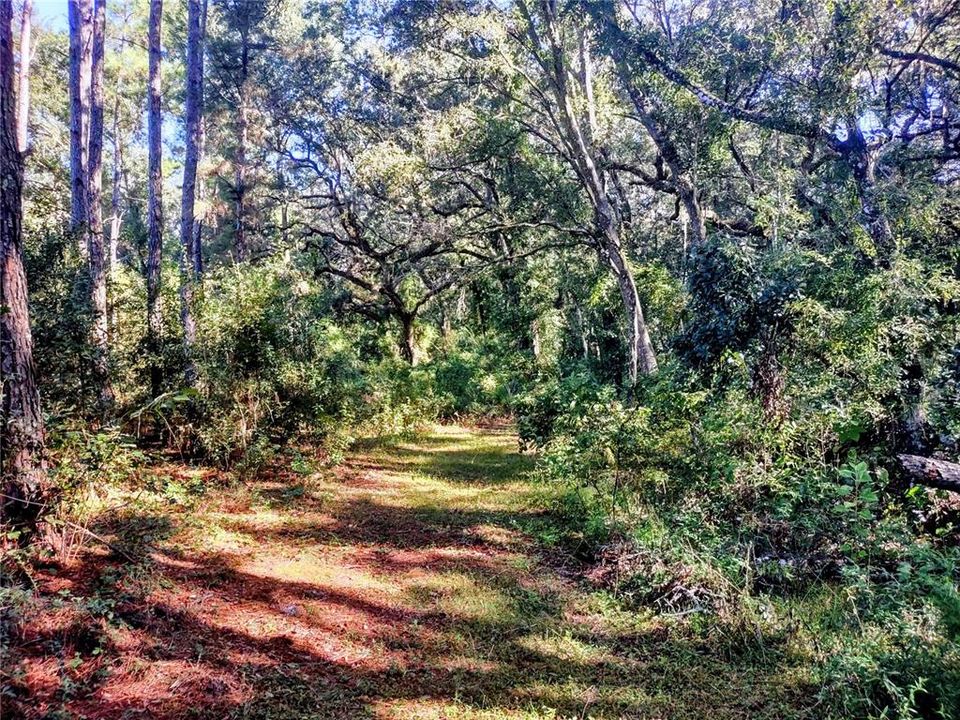 For Sale: $129,000 (4.77 acres)