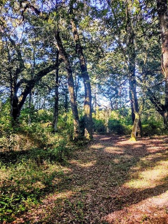 For Sale: $129,000 (4.77 acres)