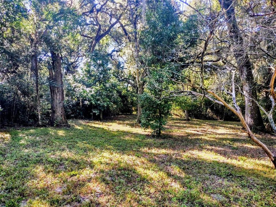 For Sale: $129,000 (4.77 acres)