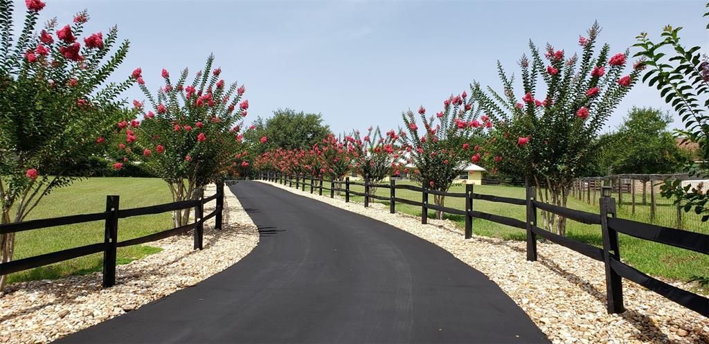 合同活跃: $775,000 (4 贝兹, 3 浴室, 2460 平方英尺)