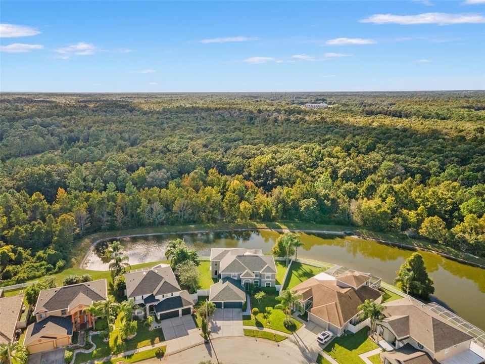 En Renta: $4,500 (5 camas, 3 baños, 4481 Pies cuadrados)