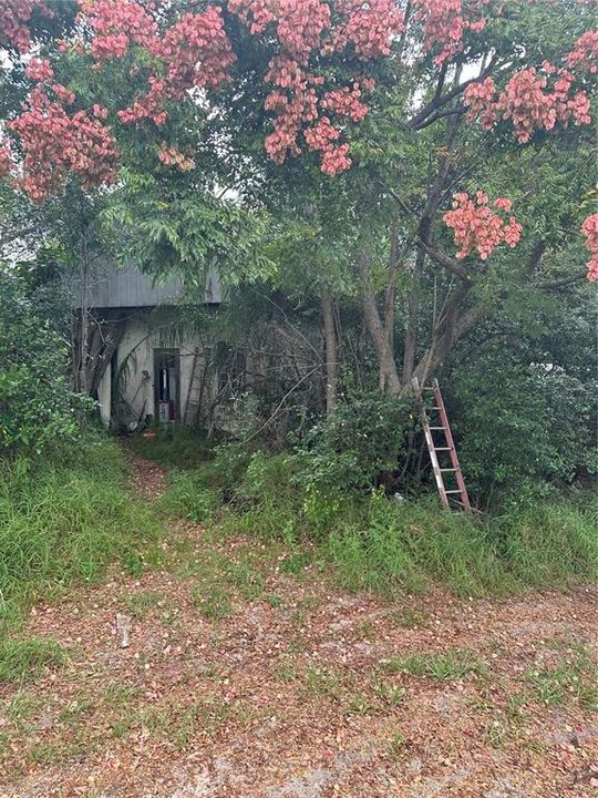 For Sale: $599,000 (3 beds, 1 baths, 930 Square Feet)