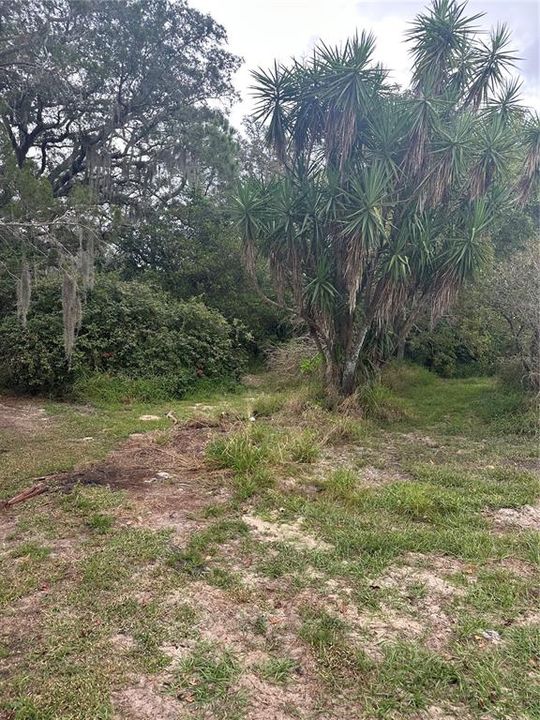 For Sale: $599,000 (3 beds, 1 baths, 930 Square Feet)