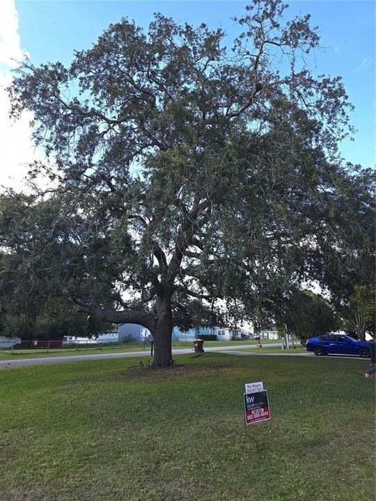 For Sale: $179,900 (4 beds, 2 baths, 1440 Square Feet)