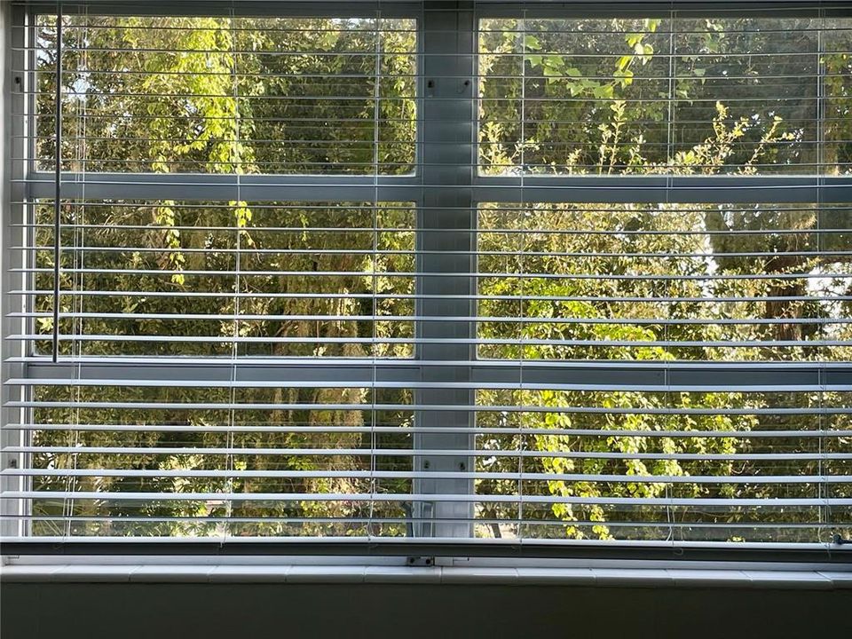 На продажу: $199,900 (2 спален, 2 ванн, 1038 Квадратных фут)