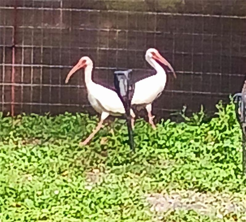 For Sale: $277,000 (3 beds, 2 baths, 1150 Square Feet)