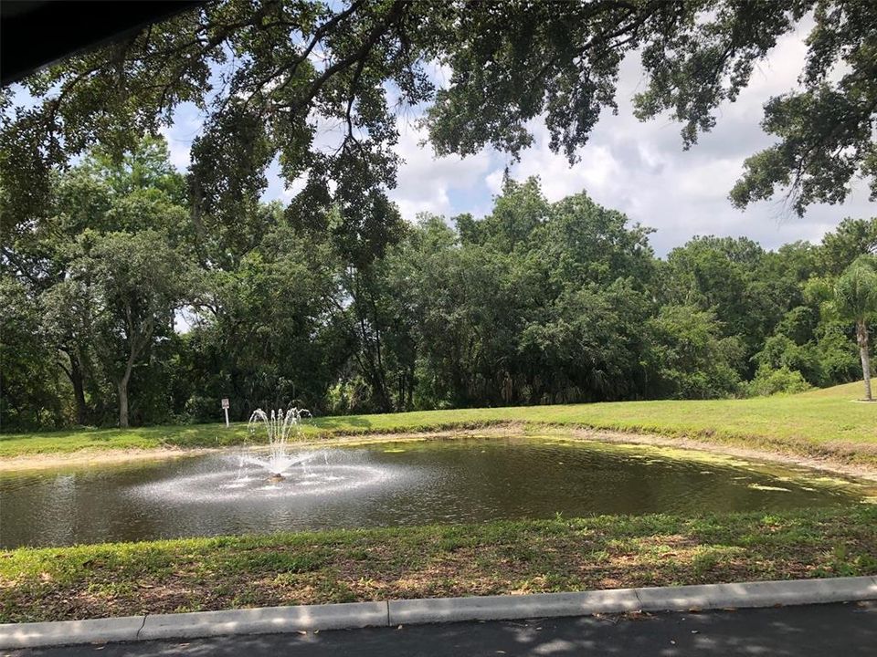 For Rent: $1,195 (1 beds, 1 baths, 600 Square Feet)