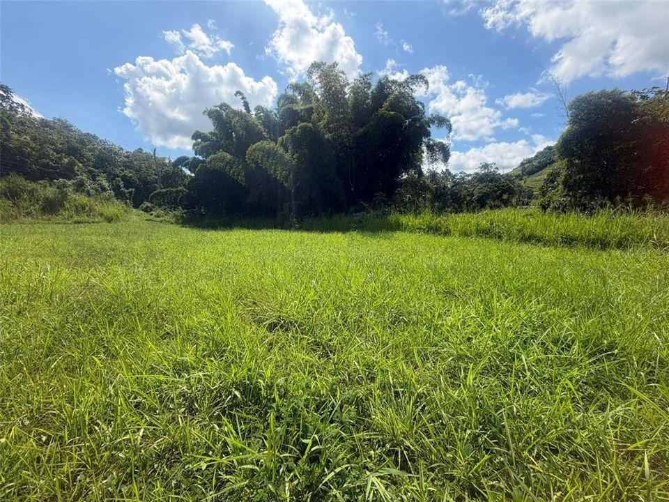 For Sale: $500,000 (3.26 acres)