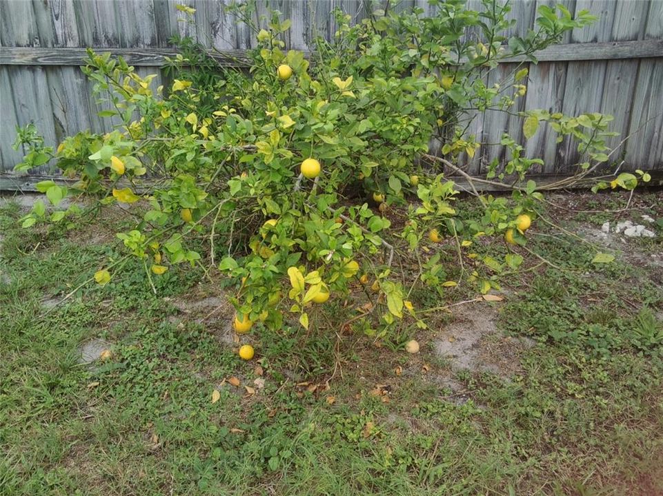 合同活跃: $369,900 (3 贝兹, 2 浴室, 1715 平方英尺)