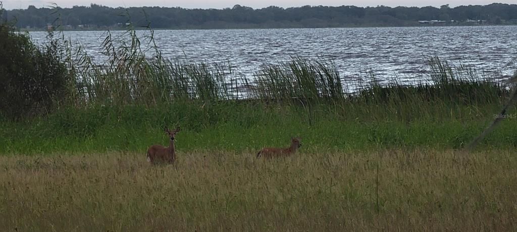 For Sale: $294,300 (2.04 acres)