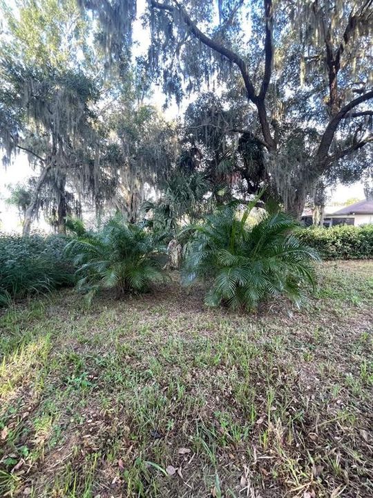 For Sale: $294,300 (2.04 acres)