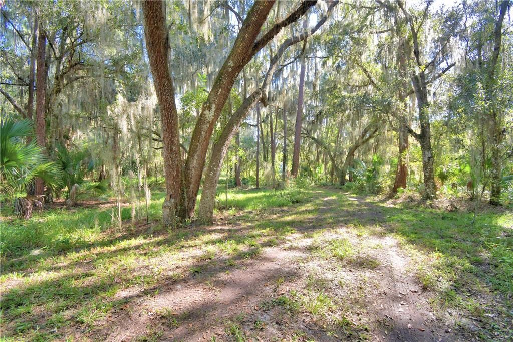 For Sale: $294,300 (2.04 acres)