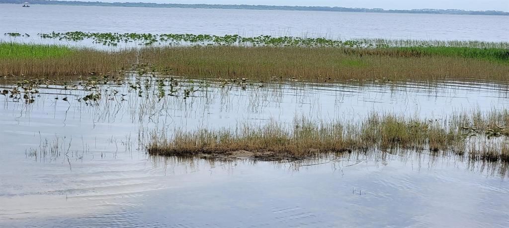 For Sale: $294,300 (2.04 acres)