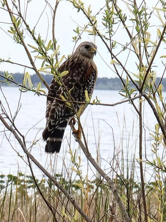 For Sale: $294,300 (2.04 acres)