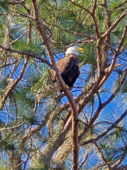 For Sale: $294,300 (2.04 acres)