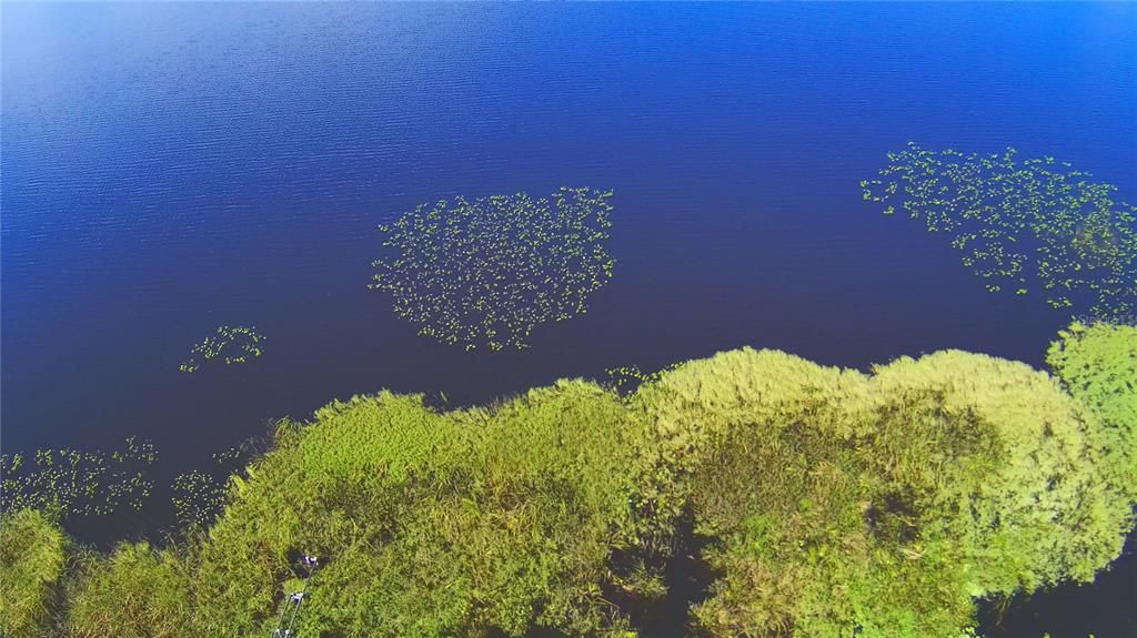 For Sale: $294,300 (2.04 acres)