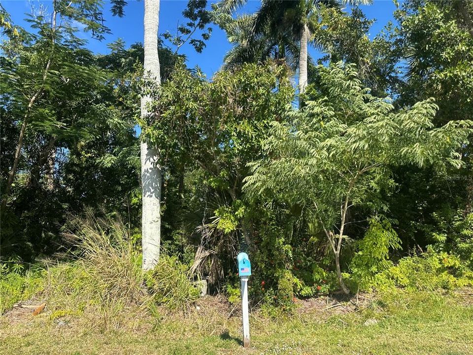 For Sale: $18,000 (0.19 acres)