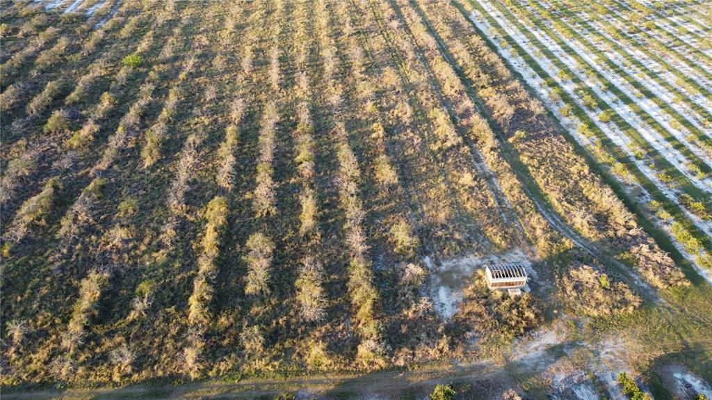 For Sale: $799,000 (48.00 acres)