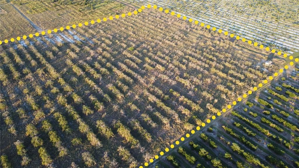 For Sale: $799,000 (48.00 acres)