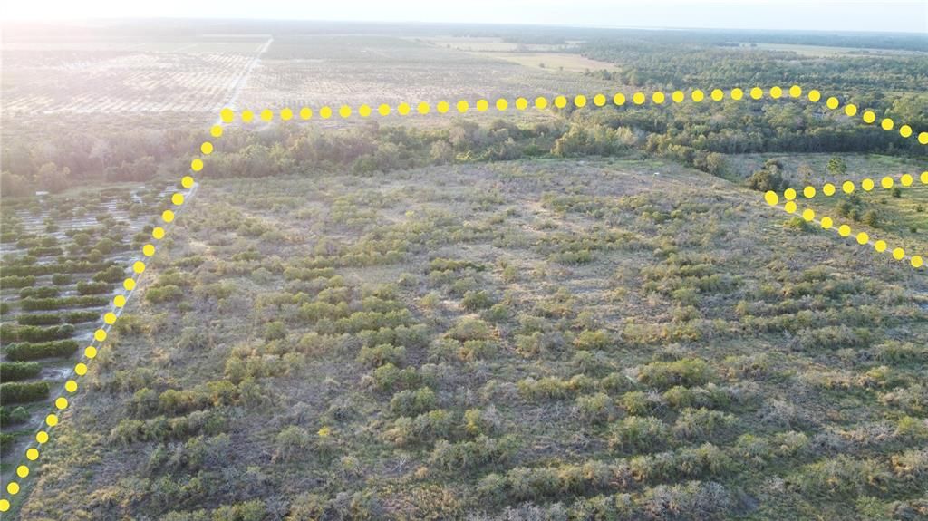 For Sale: $799,000 (48.00 acres)