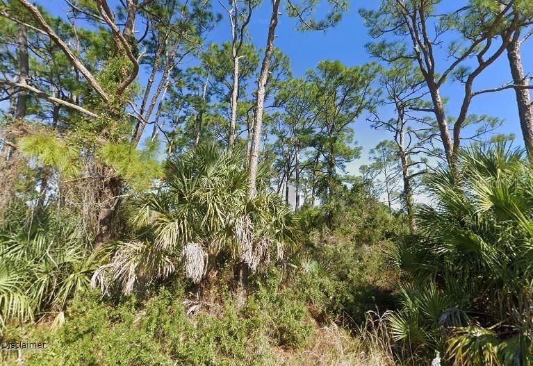 For Sale: $25,000 (0.33 acres)