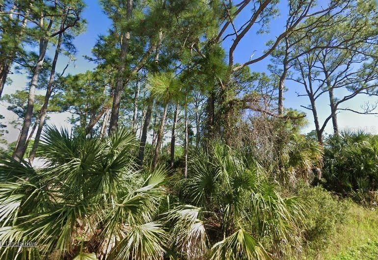 For Sale: $25,000 (0.33 acres)