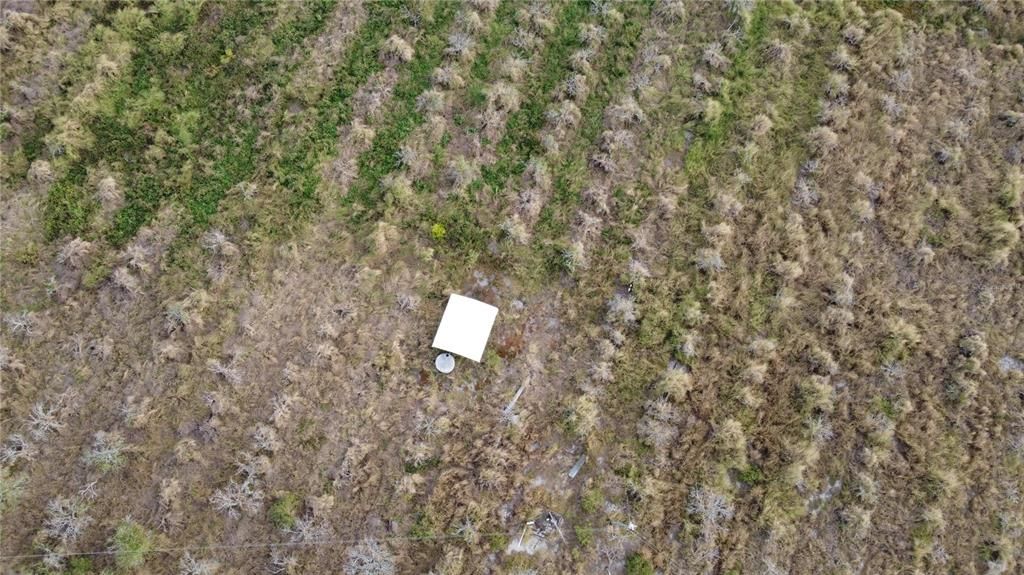 For Sale: $1,136,250 (45.45 acres)