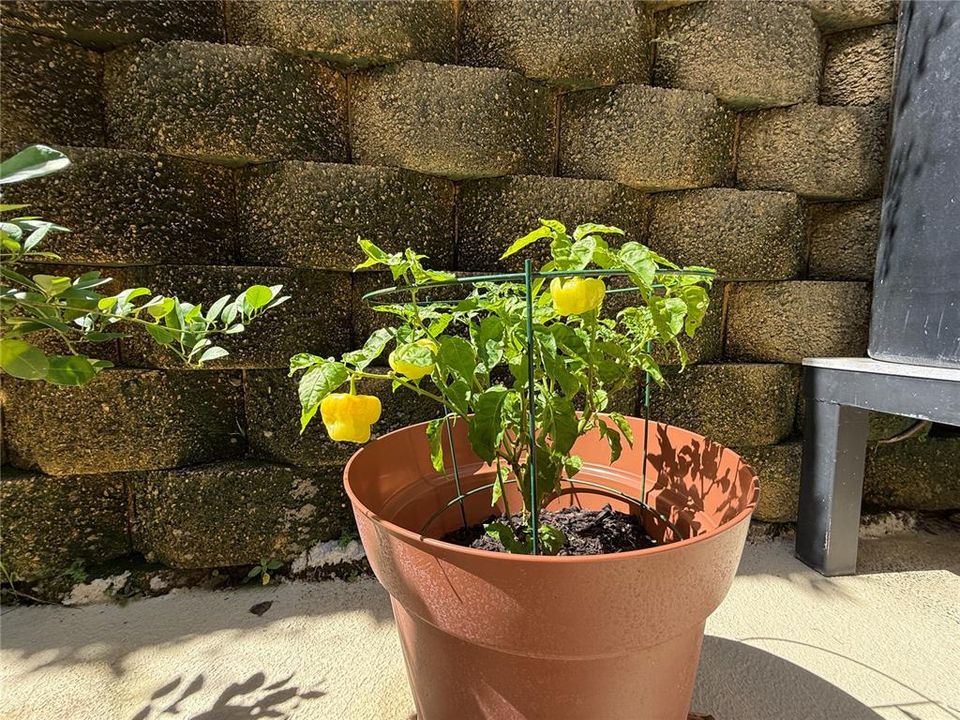 Active With Contract: $269,900 (3 beds, 2 baths, 1176 Square Feet)