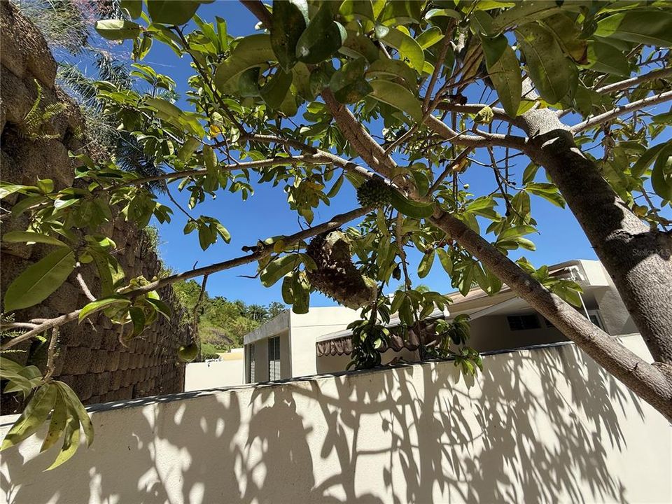 Active With Contract: $269,900 (3 beds, 2 baths, 1176 Square Feet)