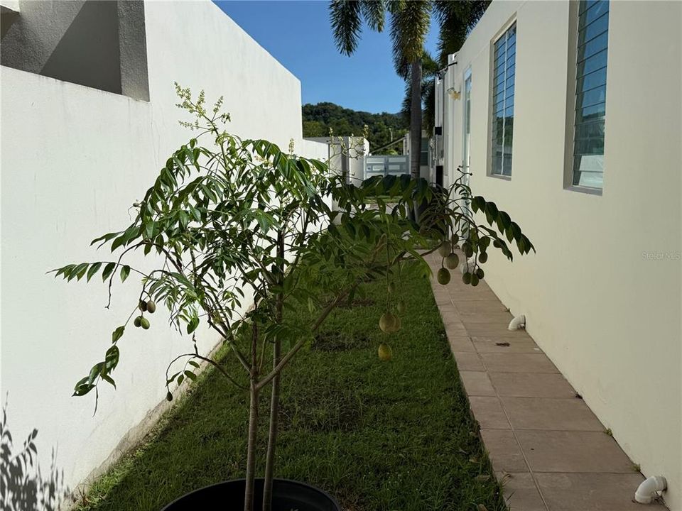 Active With Contract: $269,900 (3 beds, 2 baths, 1176 Square Feet)