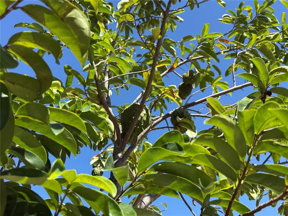 Active With Contract: $269,900 (3 beds, 2 baths, 1176 Square Feet)