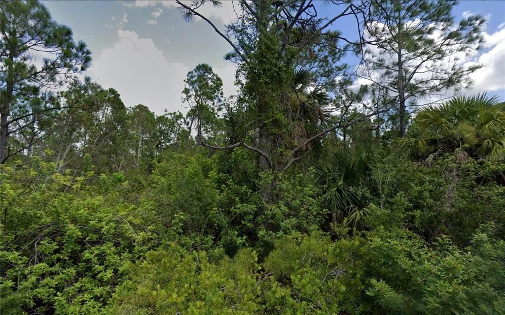 На продажу: $130,000 (3.75 acres)