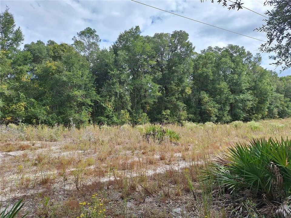 En Venta: $499,000 (66.00 acres)