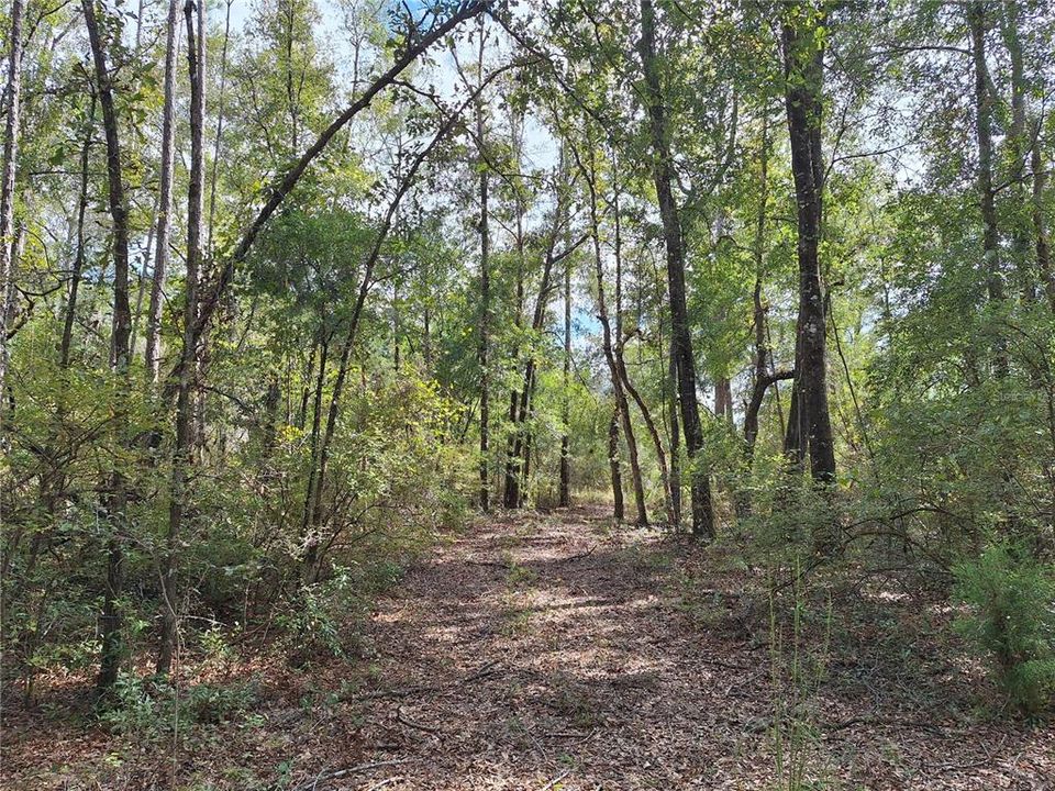 En Venta: $499,000 (66.00 acres)