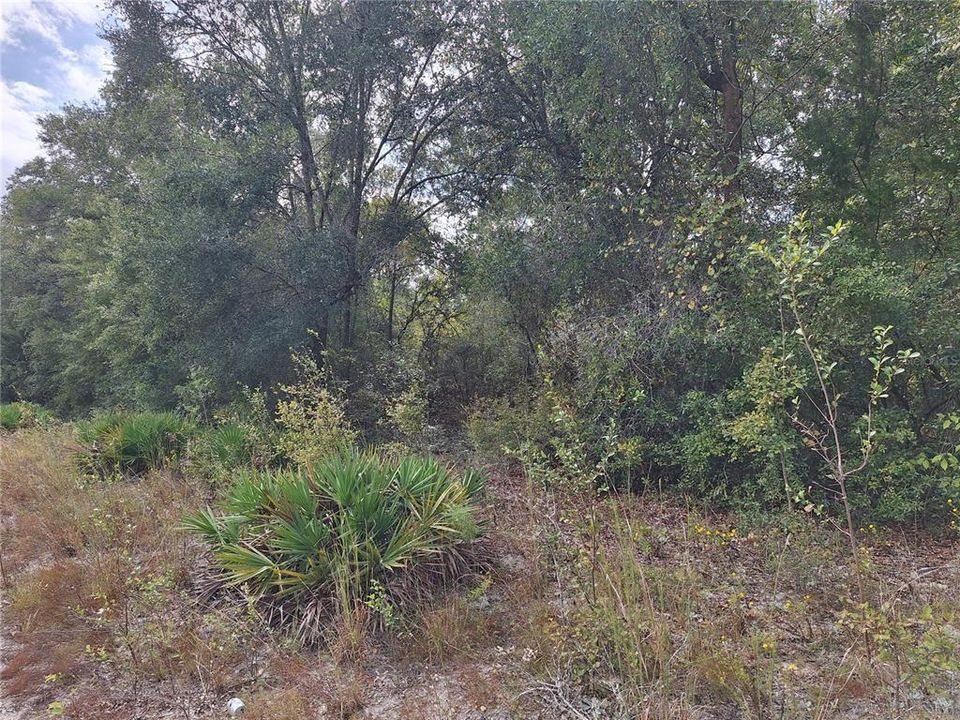 En Venta: $499,000 (66.00 acres)