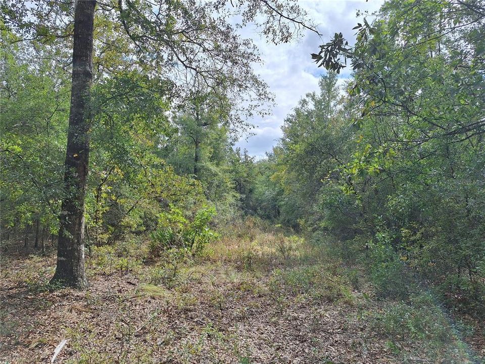 En Venta: $499,000 (66.00 acres)