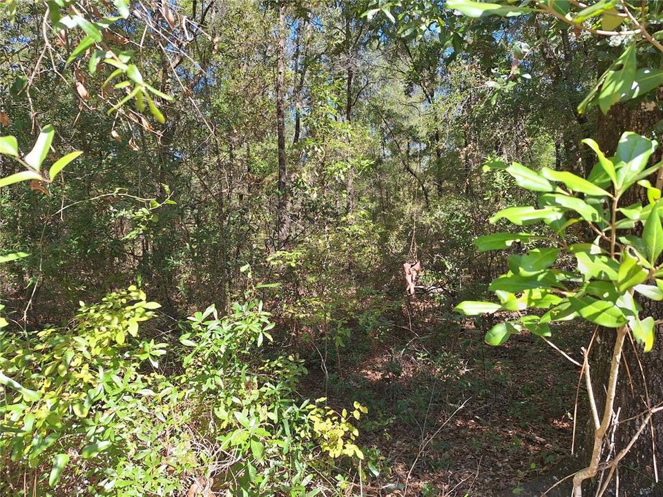 En Venta: $499,000 (66.00 acres)