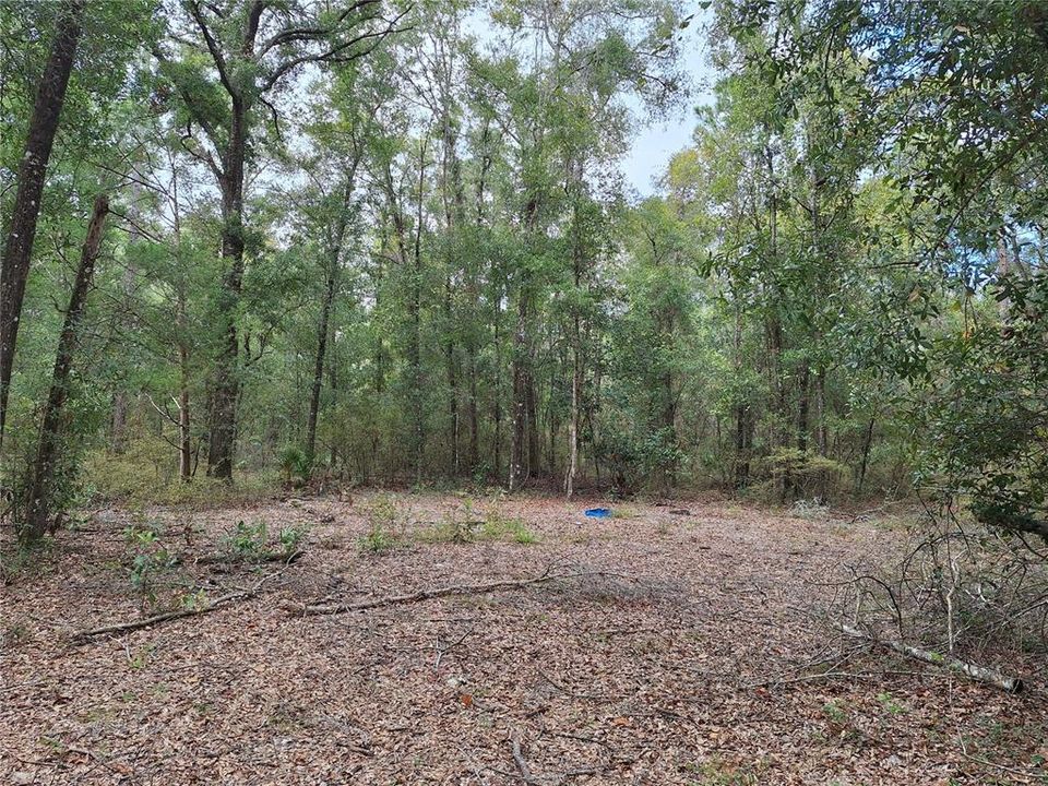 En Venta: $499,000 (66.00 acres)