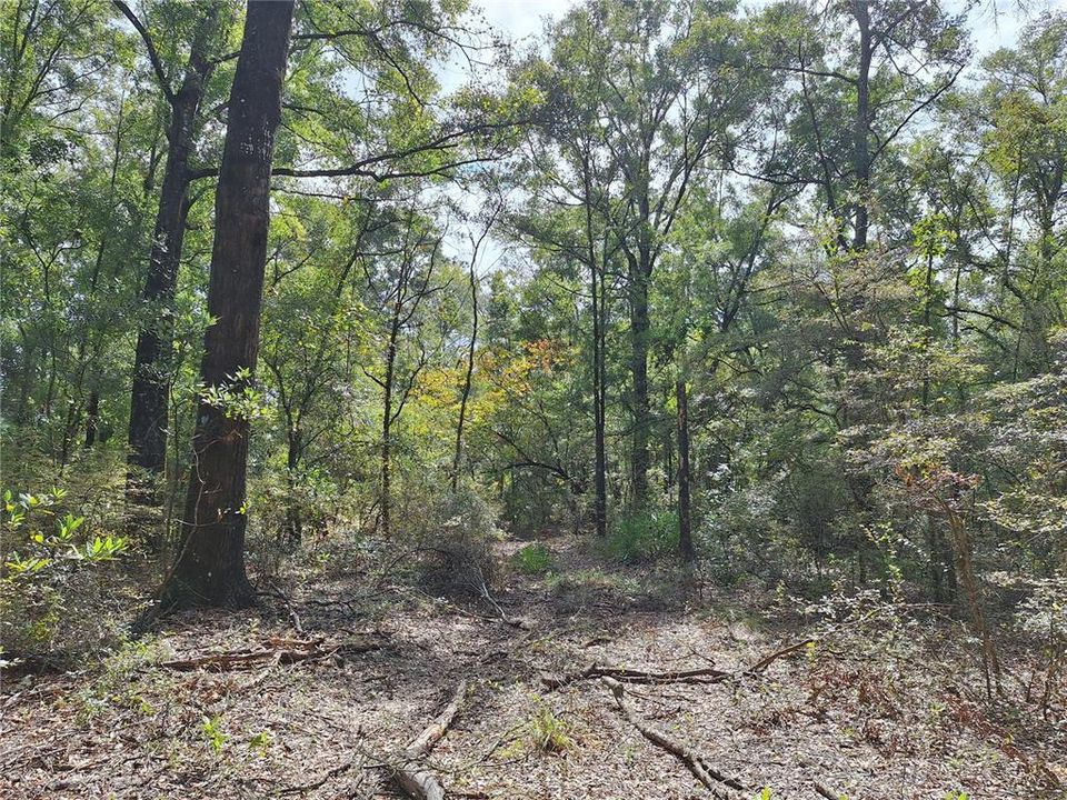 En Venta: $499,000 (66.00 acres)