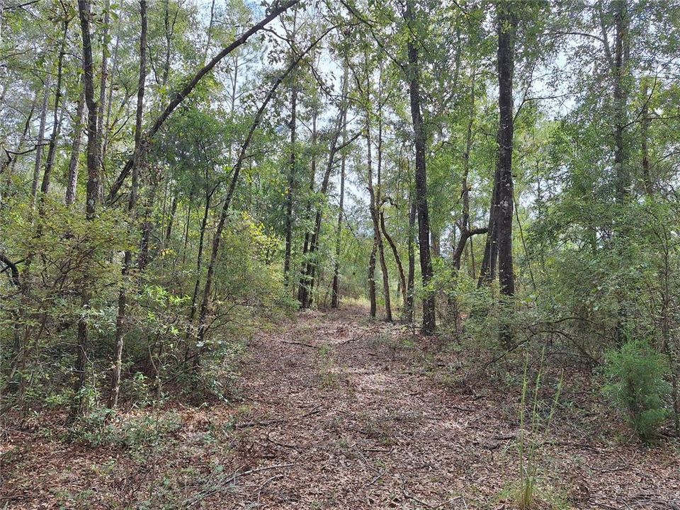 En Venta: $499,000 (66.00 acres)