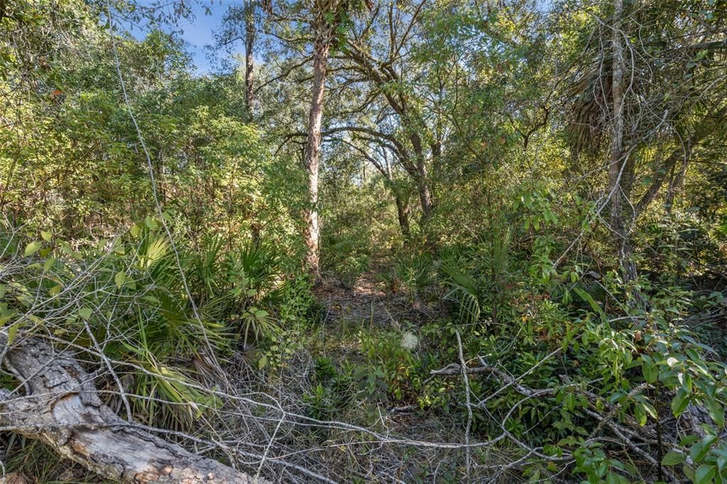 待售: $549,000 (4.80 acres)