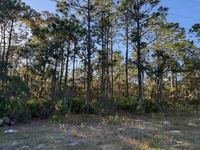 待售: $142,000 (2.88 acres)