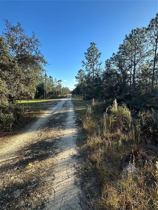 На продажу: $14,999 (0.23 acres)