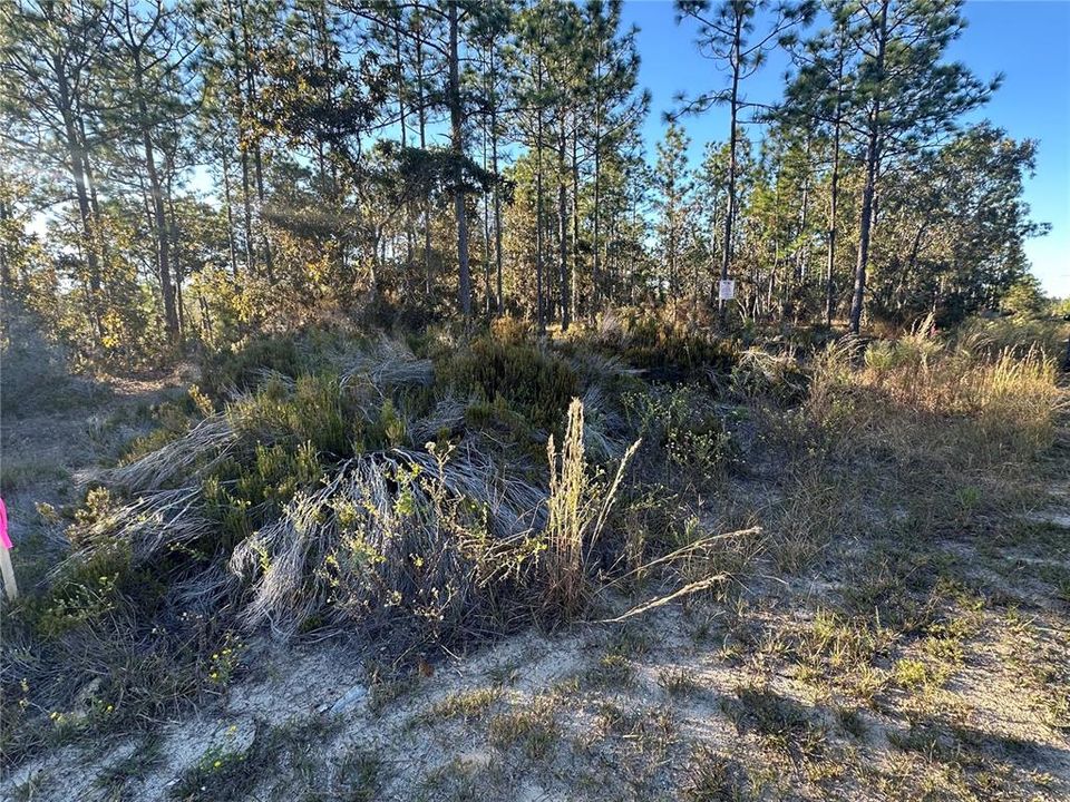 На продажу: $14,999 (0.23 acres)